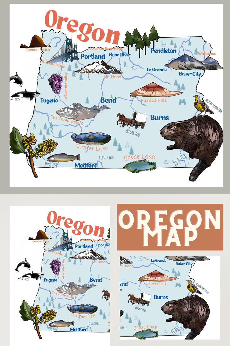 the oregon state map is shown in two separate sections, with an image of bears and other animals