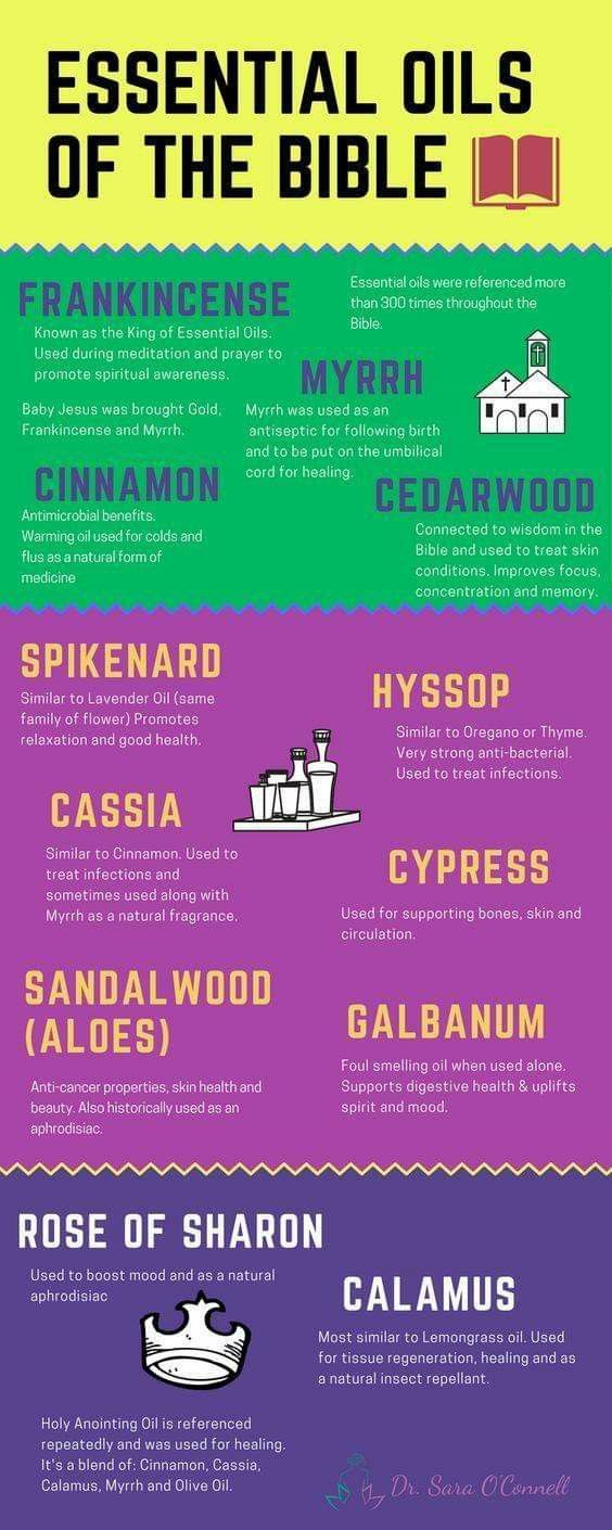 Oils Of The Bible, Frankincense Essential Oil Benefits, Healing Essential Oils, Essential Oil Remedy, Oil Remedies, Essential Oils Herbs, Essential Oils Health, Frankincense Myrrh, Essential Oil Benefits