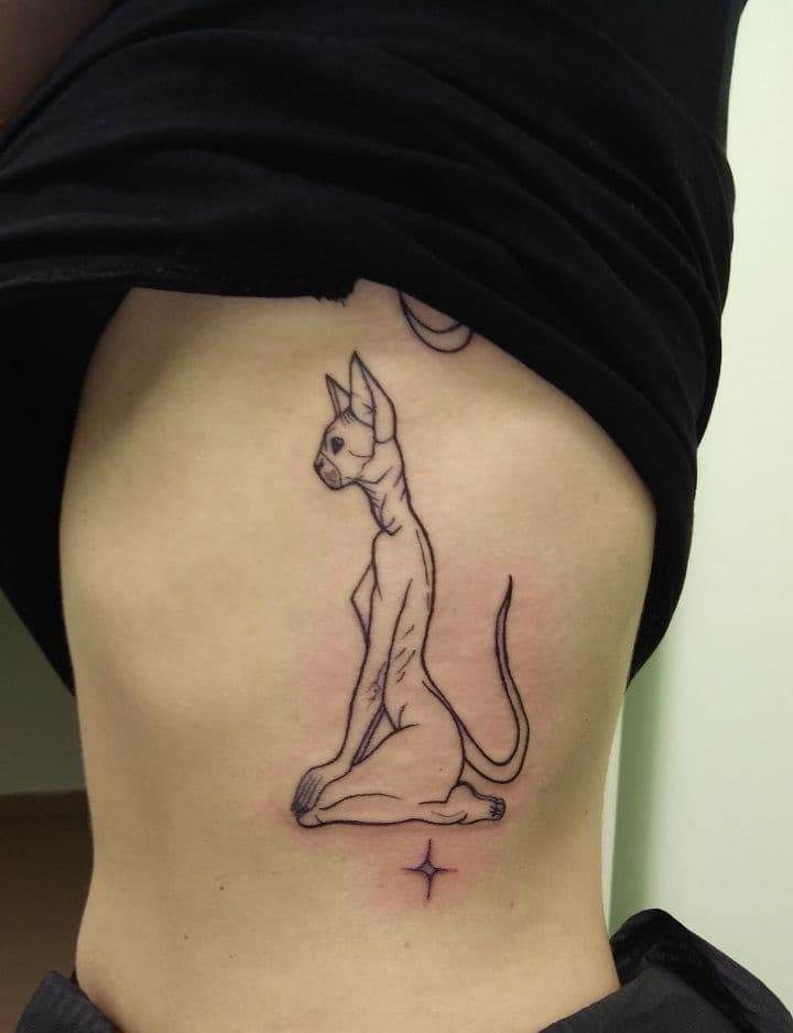 a woman's stomach with a cat tattoo on her lower back and the bottom part of her body