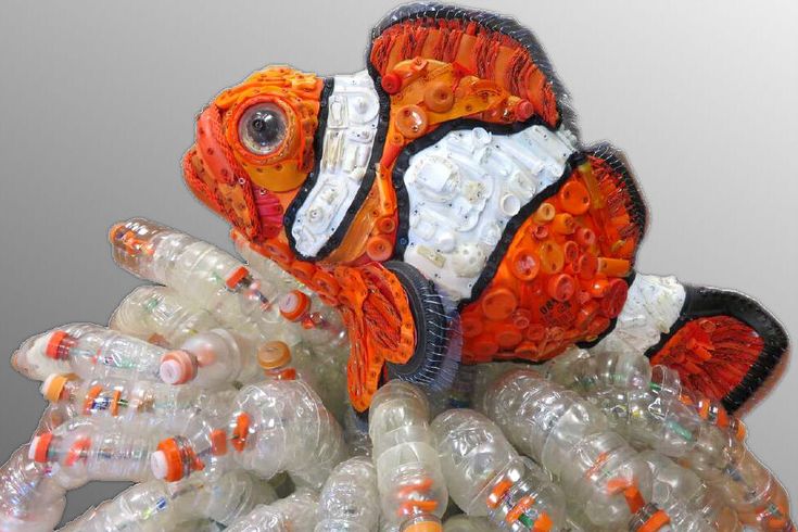 an orange and white clown fish surrounded by plastic bottles