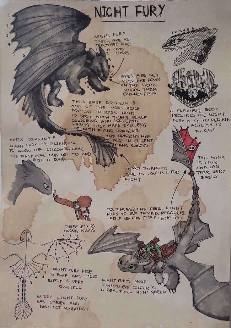 an old poster with some writing on it that says night fury and other things in the background