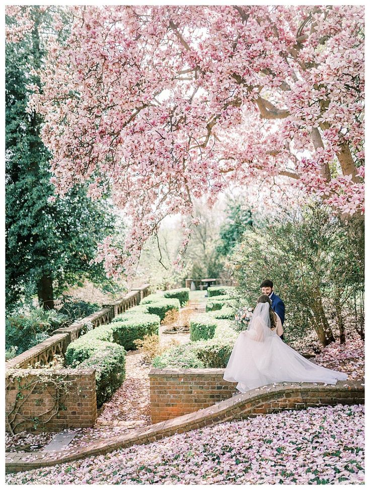 a bride and groom pose for a wedding photo under the blossomy trees in their garden