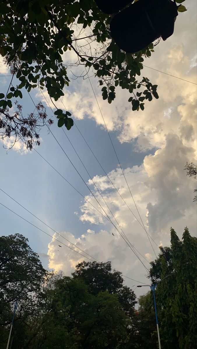 the sky is very cloudy and there are many power lines in the foreground with trees on either side