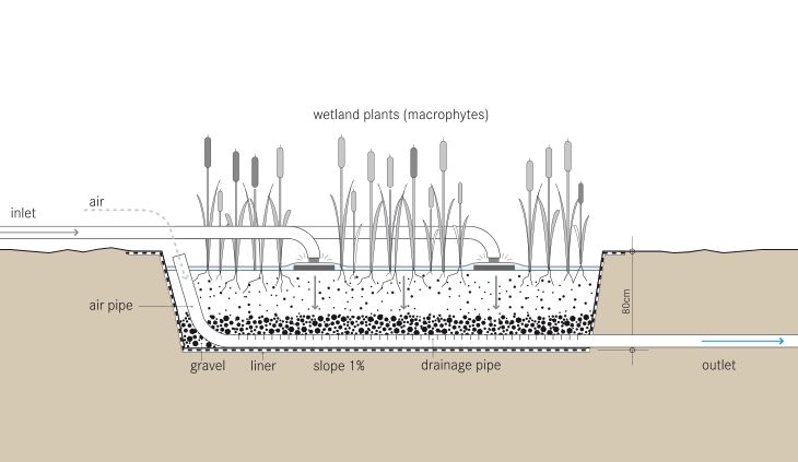 an image of a water source with plants growing out of it and the diagram below