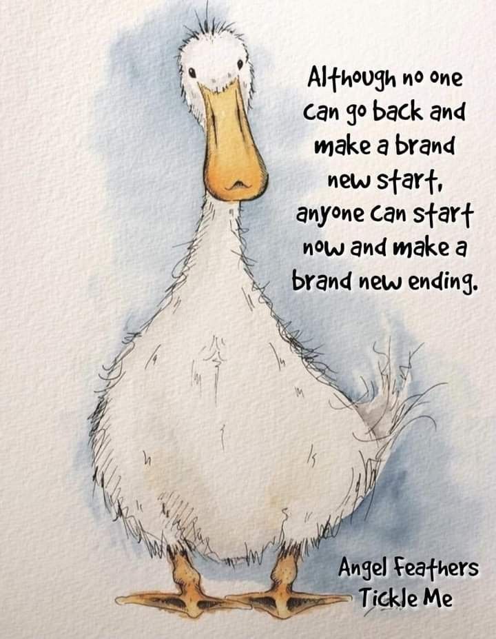 a watercolor painting of a duck with an inspirational quote on it's face