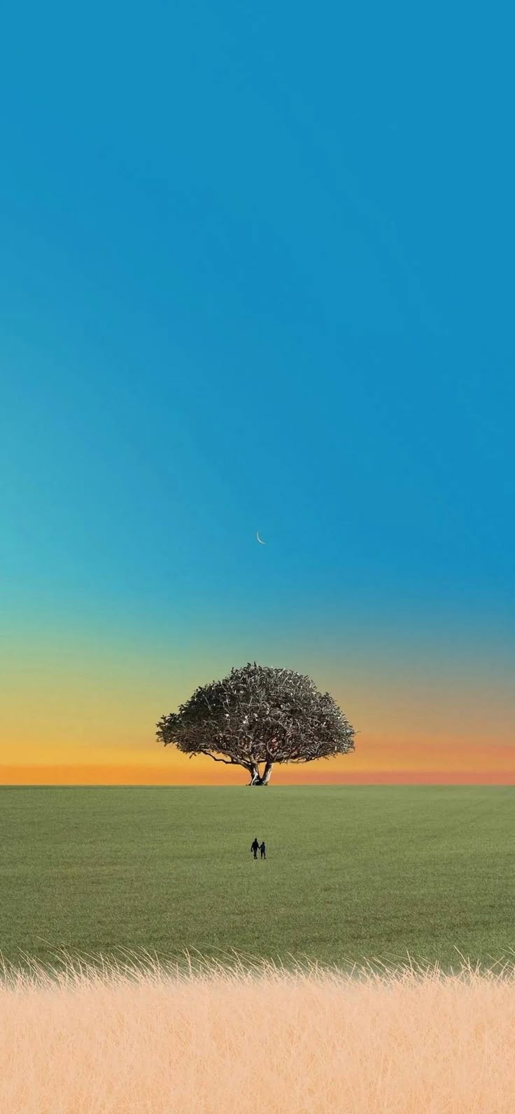 a lone tree stands in the middle of a grassy field with an orange and blue sky