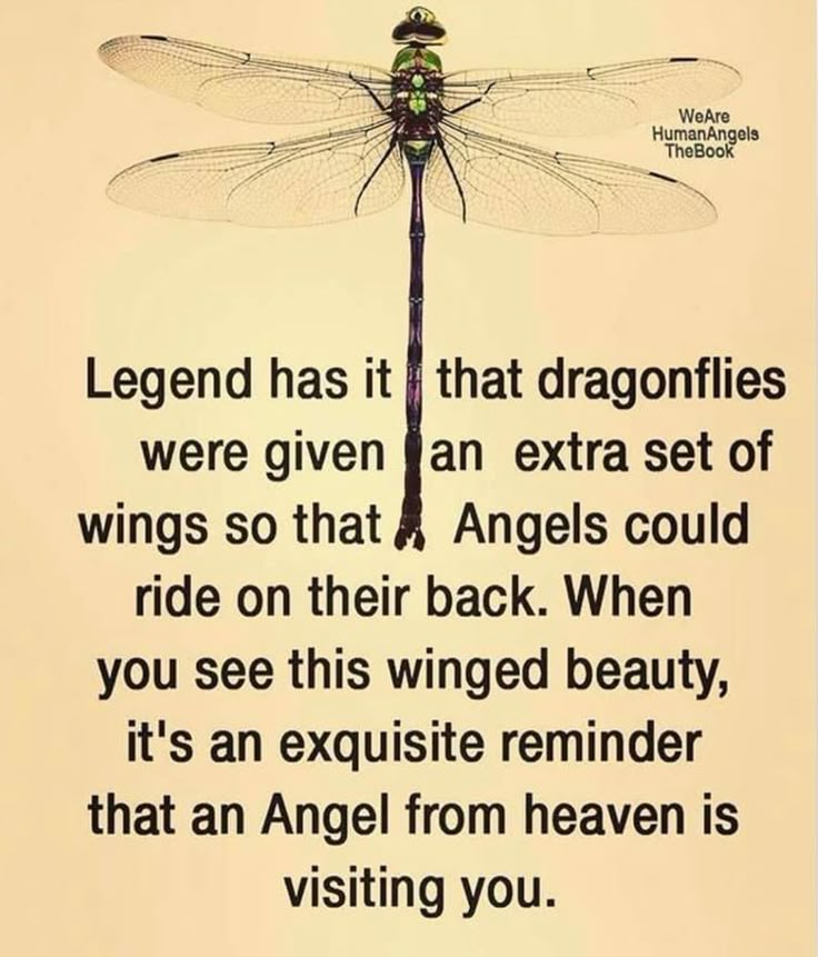 a dragonfly sitting on top of a piece of paper with the words, legend has it that dragonflies were given an extra set of wings so that angels could ride on their back when you