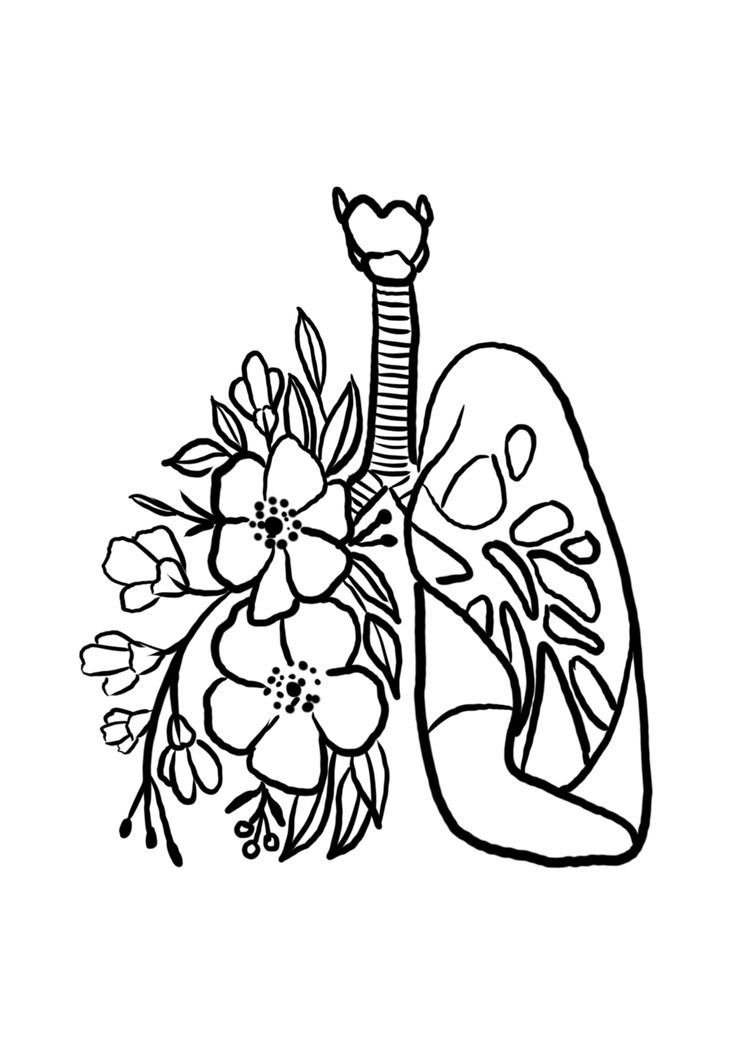 a drawing of the lungs and flowers