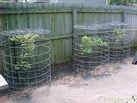 several plants are growing in wire baskets next to a fence