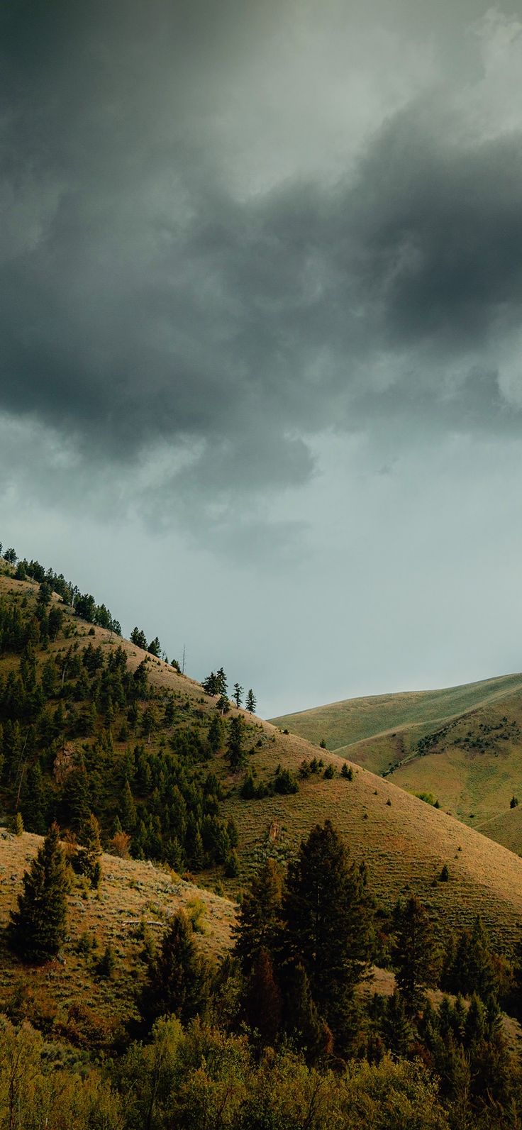 the sky is very dark and cloudy over the hills in the distance are pine trees