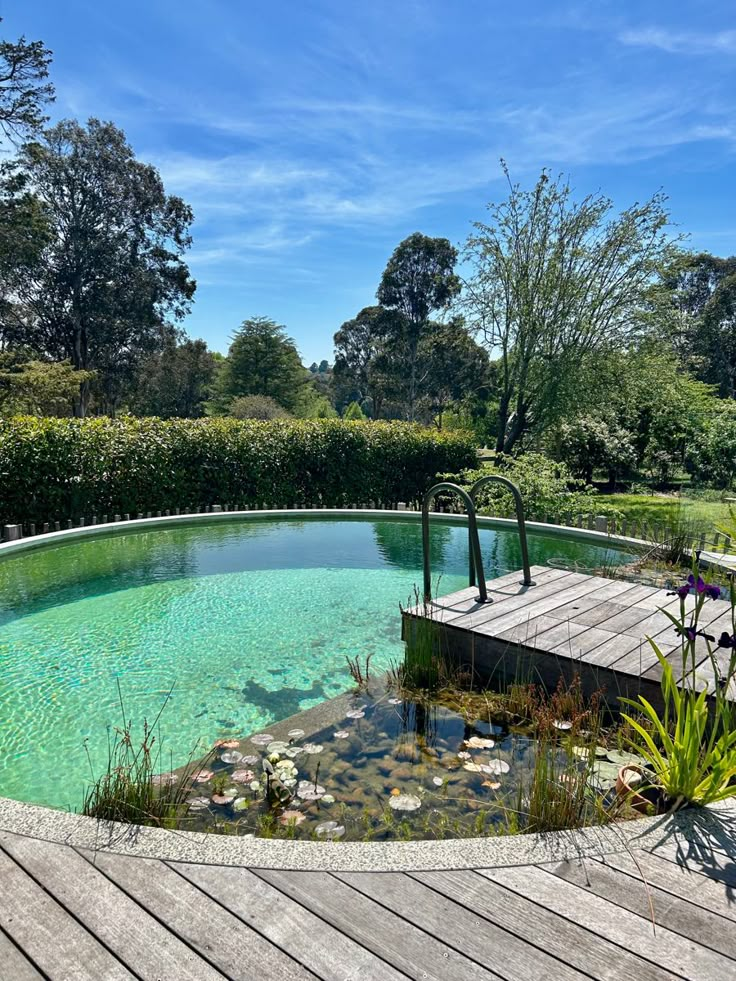 an empty swimming pool surrounded by greenery and wooden decking, on a sunny day