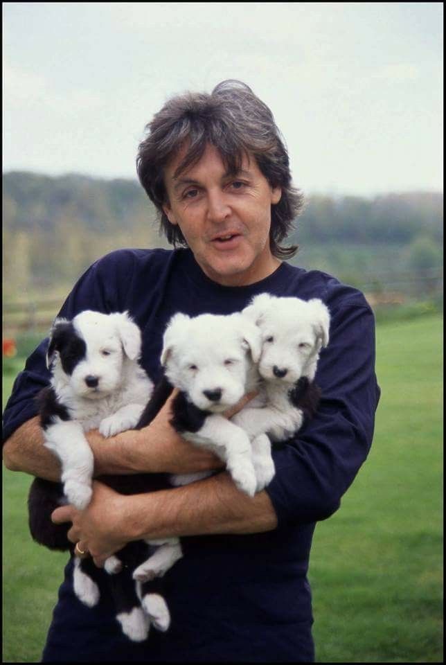 a man holding five puppies in his arms