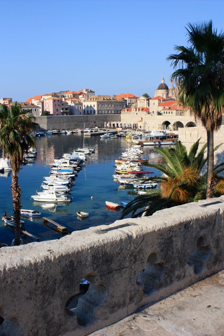 boats are docked in the water next to a stone wall and palm trees on either side