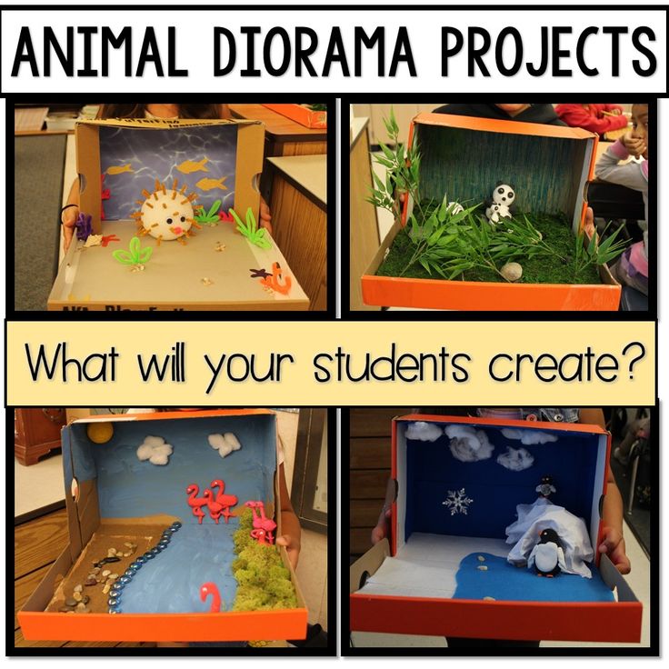 four different pictures with the words what will your students create? and an animal in a box