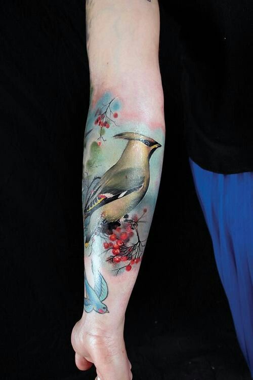 a person with a bird tattoo on their arm