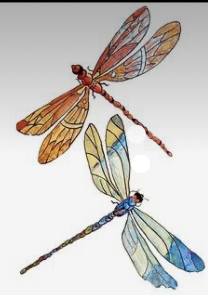 three dragonflies are flying in the sky together, one is orange and the other is blue