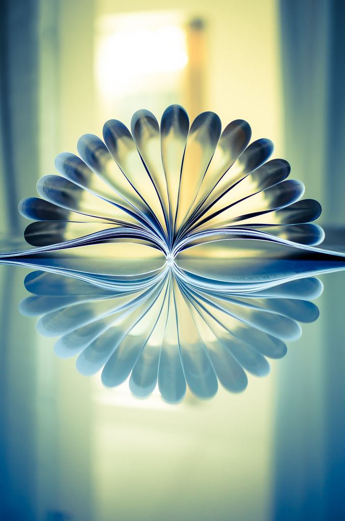 the reflection of a flower in water is shown on top of the table with it's petals