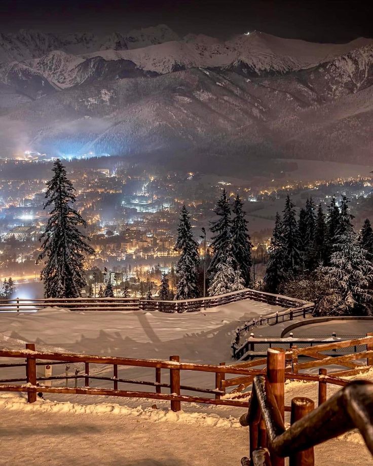 a snowy landscape with trees and mountains in the background at night, lit up by street lights