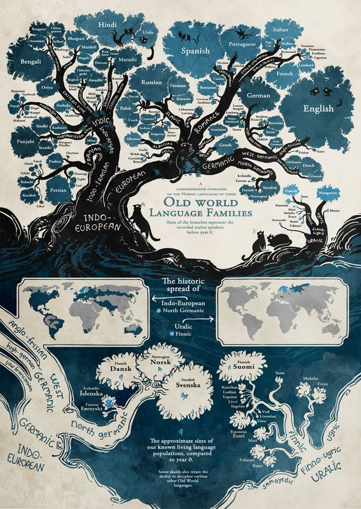 an old world language families tree is shown in blue and white, with the names of languages