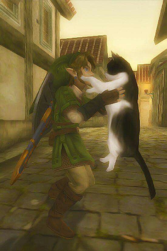 an animated image of a man hugging a cat on the street with another cat nearby