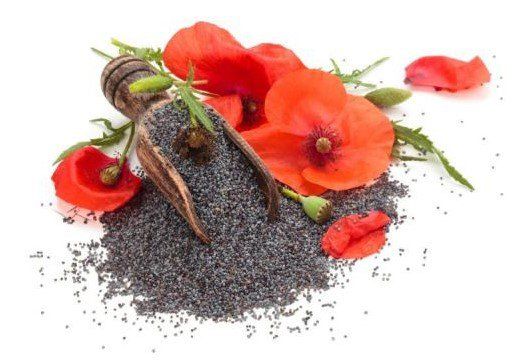 poppy seeds and spices on white background with red poppies in the foreground, top view