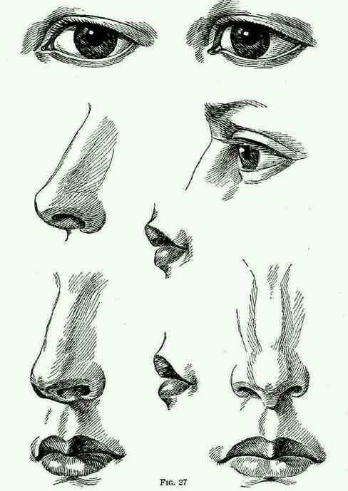 some different types of eyes and nose