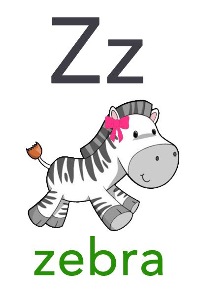 the letter z is for zebra with an animal on it's back and its name in