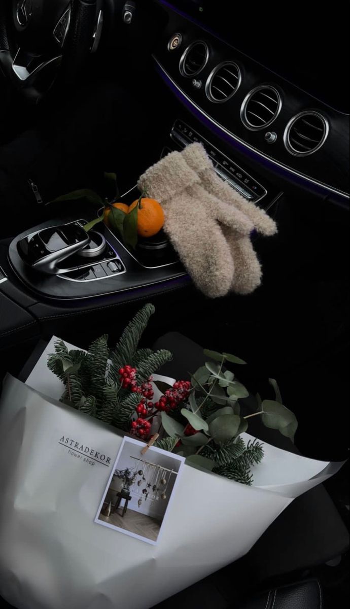 an orange and some plants in a white bag on the dashboard of a black car