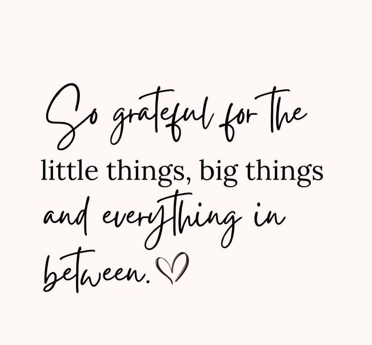 a quote that says go grateful for the little things, big things and everything in between