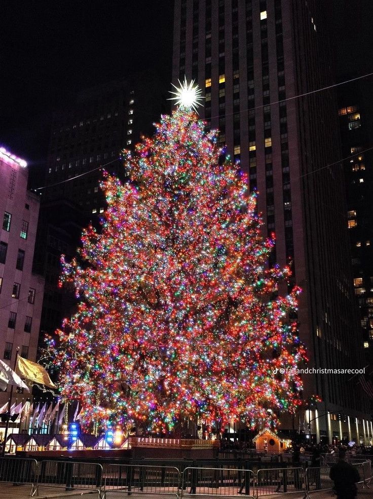 a large christmas tree is lit up in the city