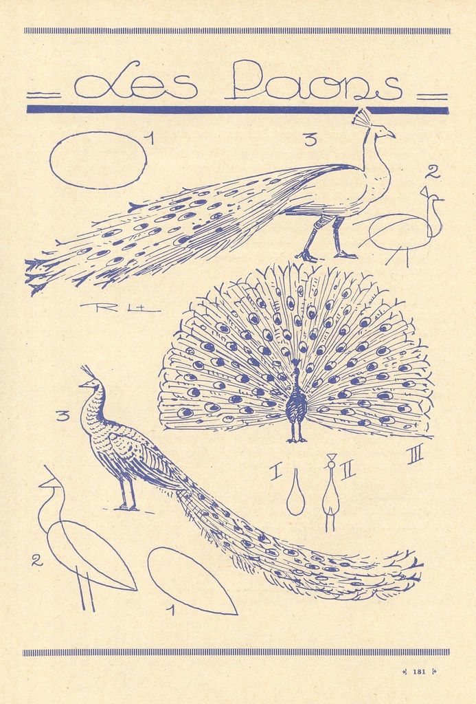 an old book with blue ink drawings of peacocks