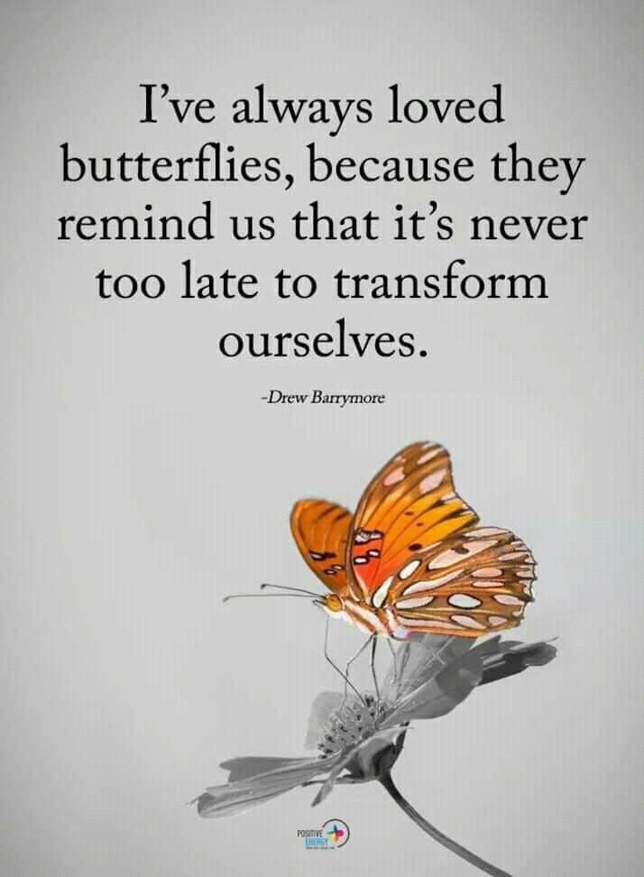 a butterfly with a quote on it saying i've always loved butterflies, because they remind us that it's never too late to transform ourselves