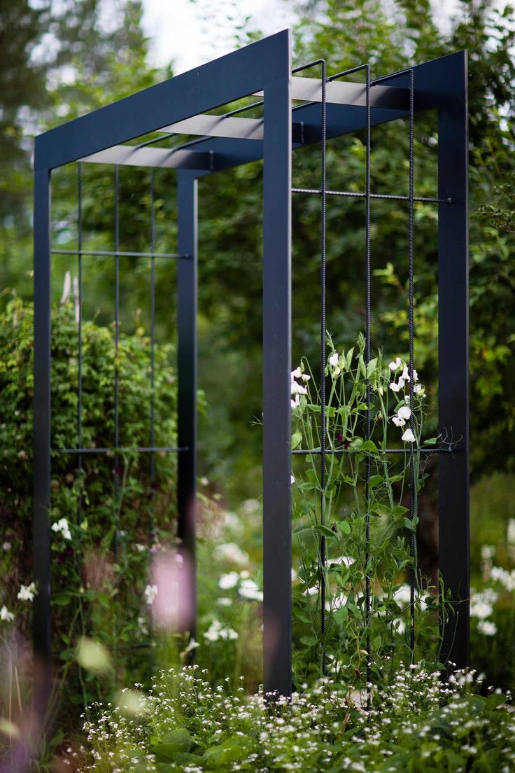 an outdoor garden with white flowers and plants