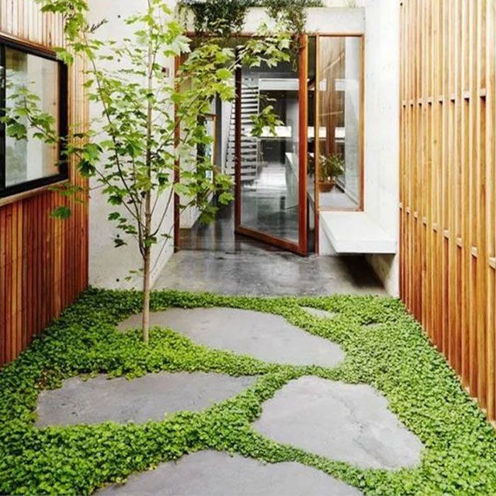 a small courtyard with green plants and stepping stones on the ground in front of it