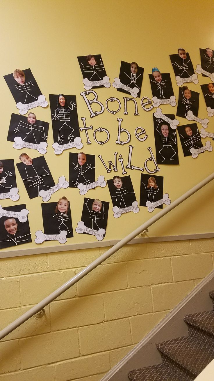 a staircase with pictures on it and the words bone to be wild written in white