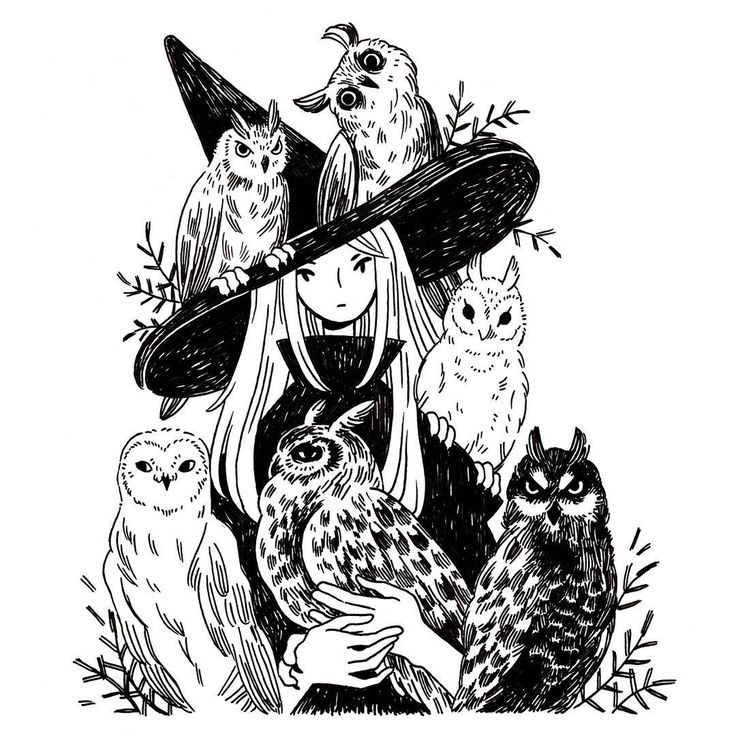 an ink drawing of witches and owls