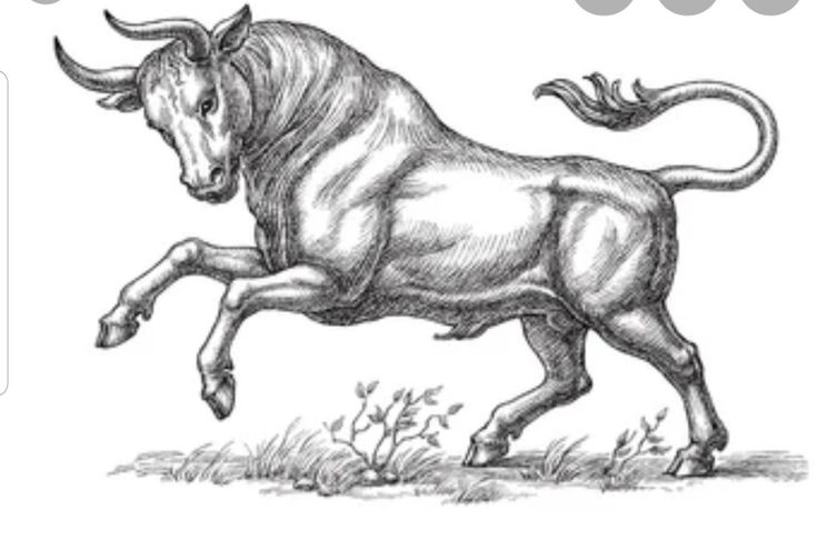 a drawing of a bull running in the grass with it's tail curled up