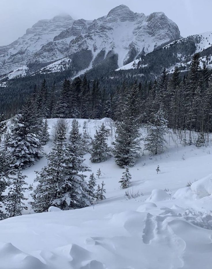 a man riding skis on top of a snow covered slope