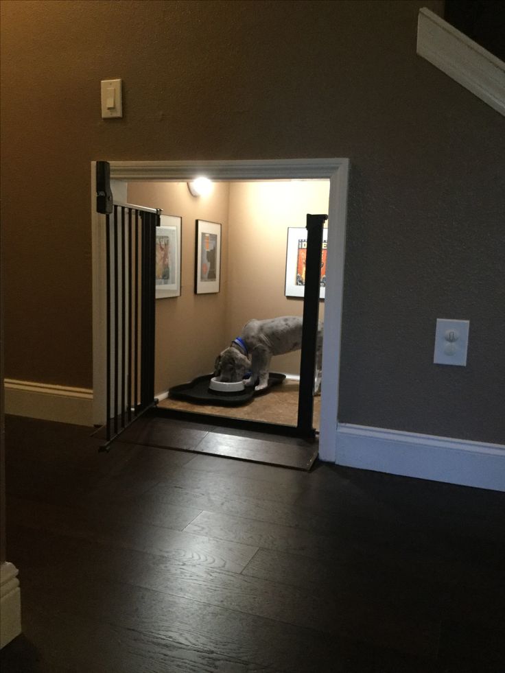 a dog laying on top of a black mat in a living room next to a doorway