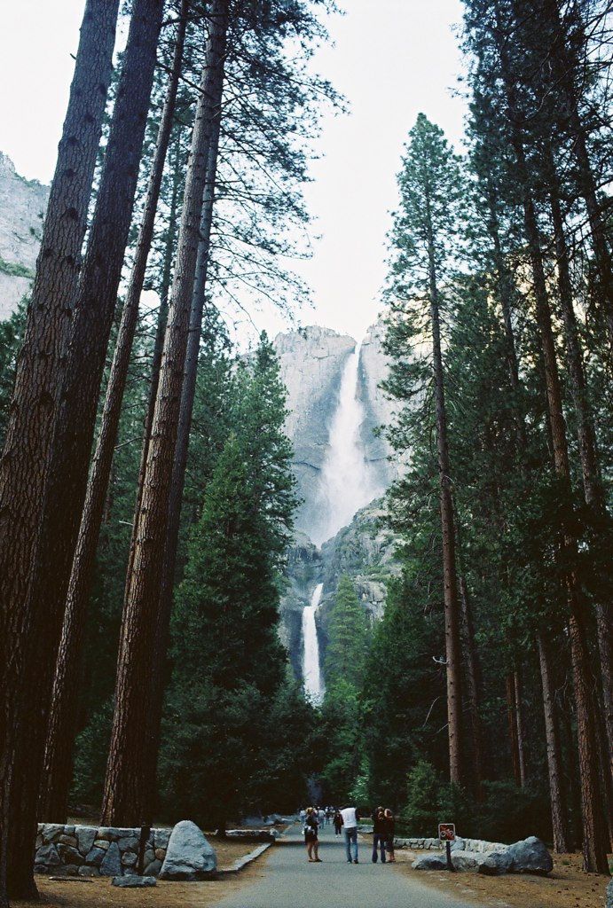 people walking down a path in the woods near tall trees and a waterfall behind them