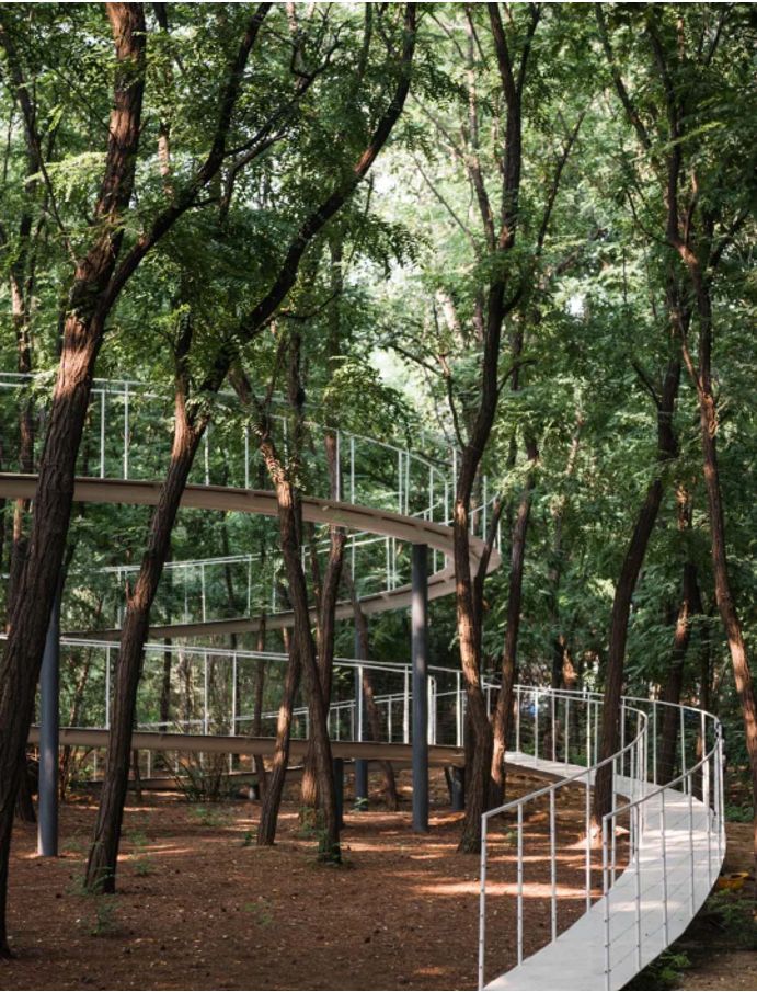 a walkway in the middle of a forest with lots of trees and stairs leading up to it