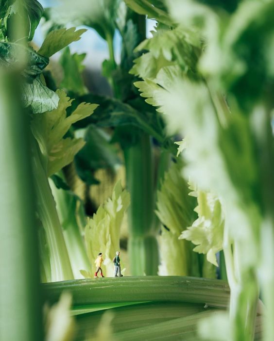 two miniature people are standing in the middle of some green plants with leaves around them