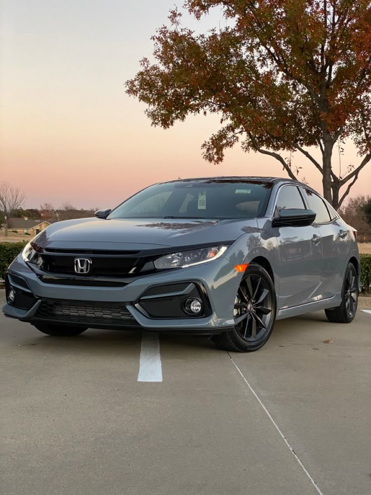 a gray car parked in a parking lot next to a tree and some bushes at sunset