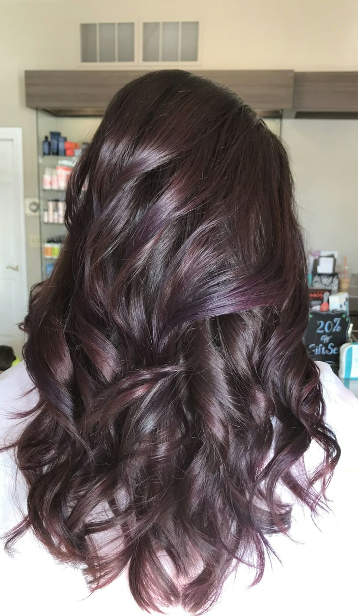 Brown Hair With Purple And Red Highlights, Plum Purple Highlights Brown Hair, Brunette With Violet Highlights, Dark Purple Highlights Light Brown Hair, Dark Brown Hair With Violet Highlights, Violet Lowlights In Brown Hair, Eggplant Highlights On Dark Hair, Dark Brown Hair With Dark Purple Highlights, Brown And Violet Hair