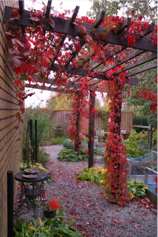 an outdoor garden with lots of plants and flowers on the side of the building,