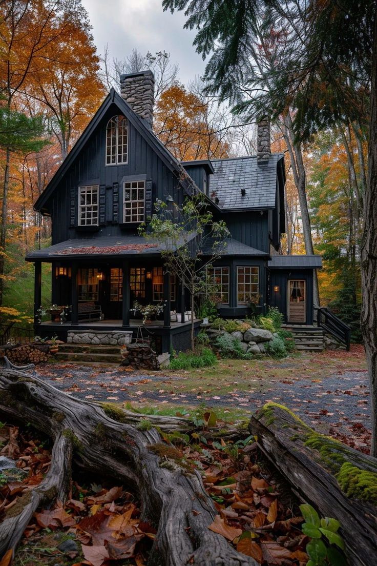 a black house surrounded by trees and leaves