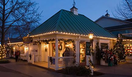 a gazebo with christmas lights on it and people standing outside at the front door