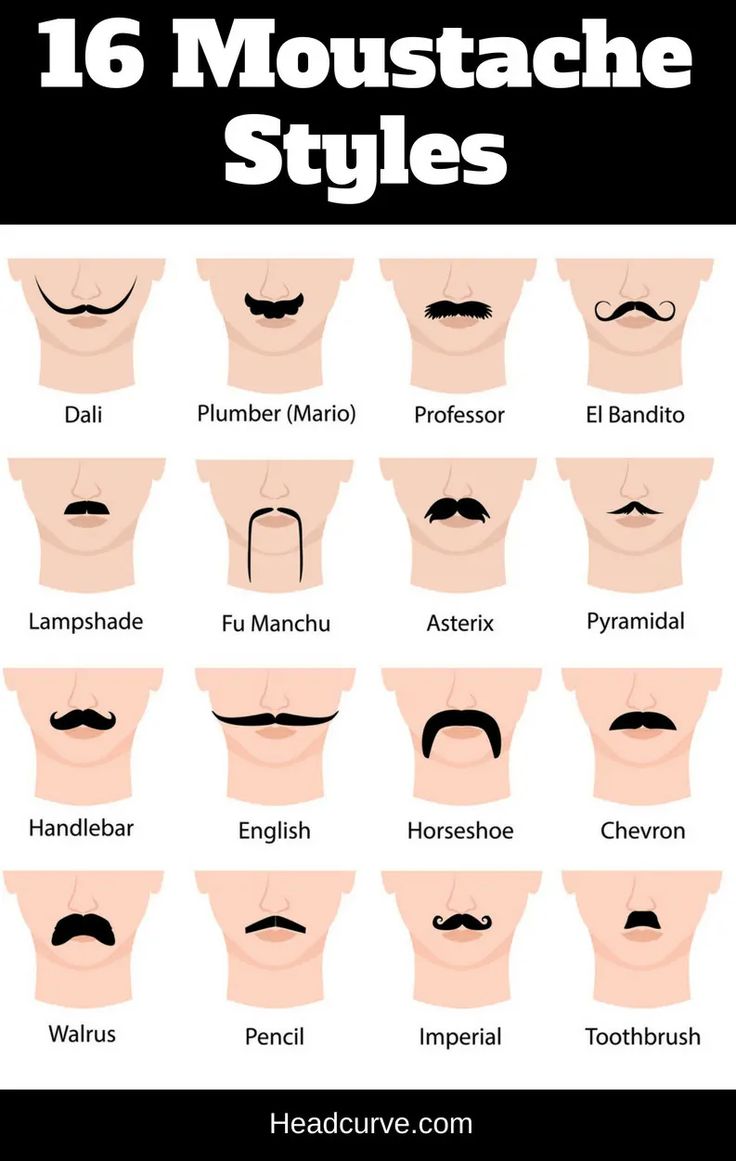 16 Moustache Styles and Names (Chart and Illustrations) Pencil Mustache, Types Of Mustaches, Horseshoe Mustache, Mustache Shapes, Thick Mustaches, Types Of Facial Hair, Moustache Style, Beards And Mustaches, Beard And Mustache Styles