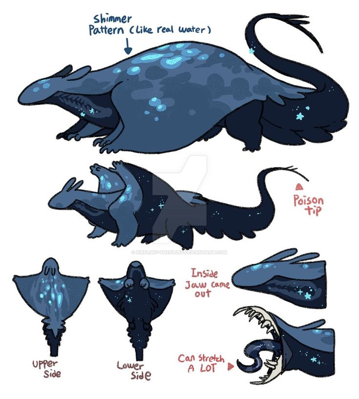 the different types of sea creatures that can be seen in this cartoon character model sheet