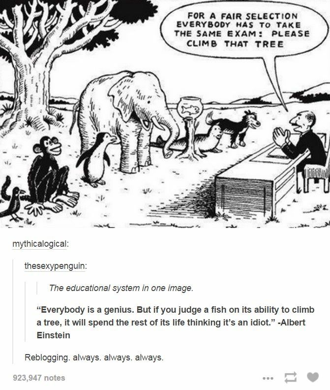 an elephant and some monkeys are talking to each other in front of a sign that says our education system